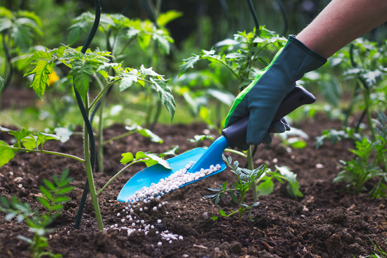Balanced (All-Purpose) Fertilizers: What are they and should you use them?