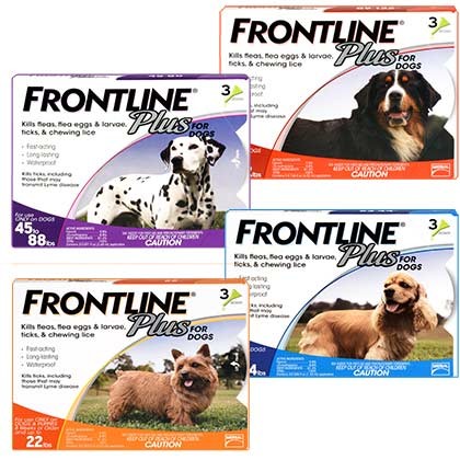 Frontline plus for dogs 2024 up to 22 lbs