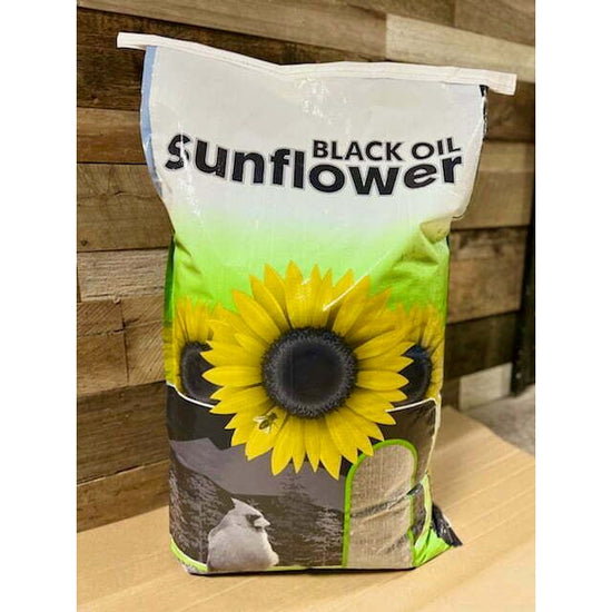 IDEAL Premium Black Oil Sunflower Seeds - The Ultimate Wild Bird Attracting Mix