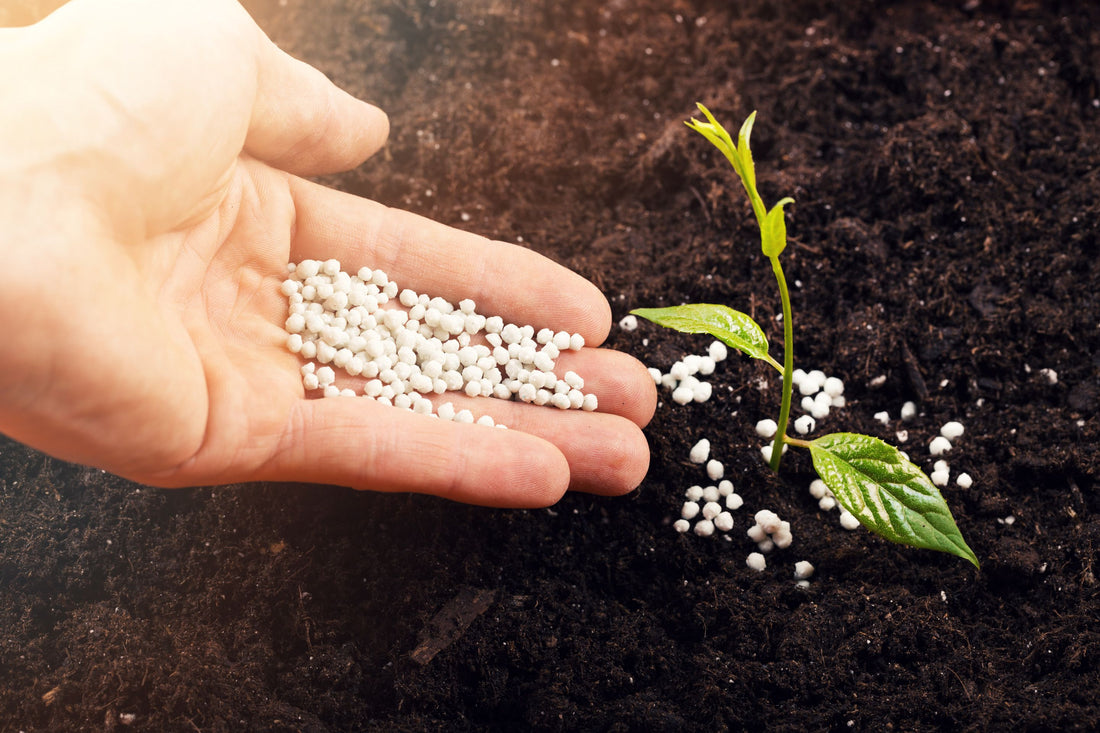 How To Choose The Right Fertilizer: Buying Guide