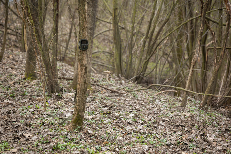 Hunting Accessories: Key Considerations for New Hunters