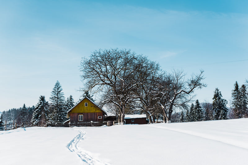 Essential Winter Supplies for a Comfortable Season