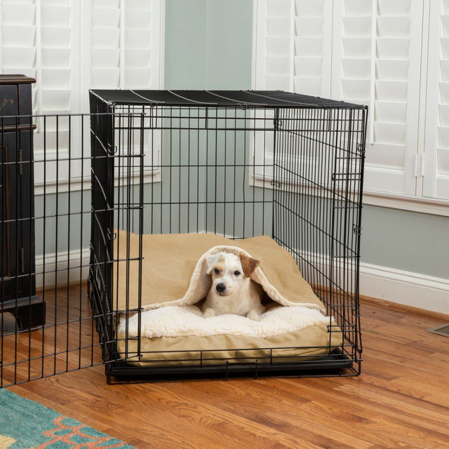Crates and Carriers