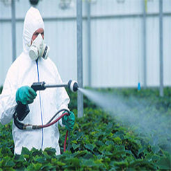 Pesticides/Herbicides