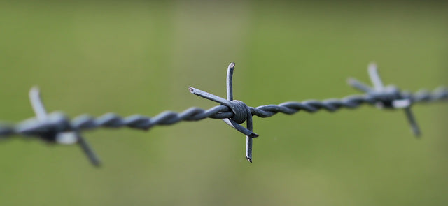 Fencing