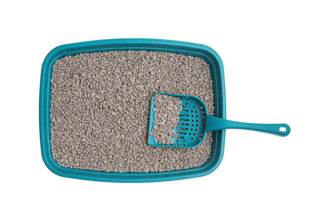 Cat Litter