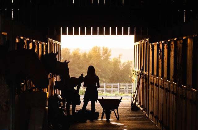 Farm & Ranch