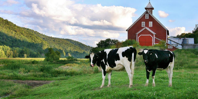 Farm & Ranch Supplies