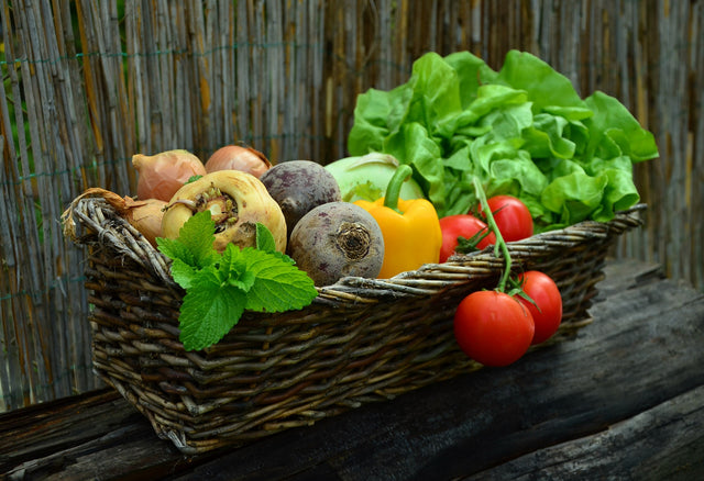 Garden Seeds