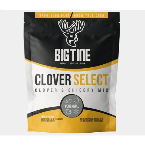 Big Tine Clover Free Shipping Deals