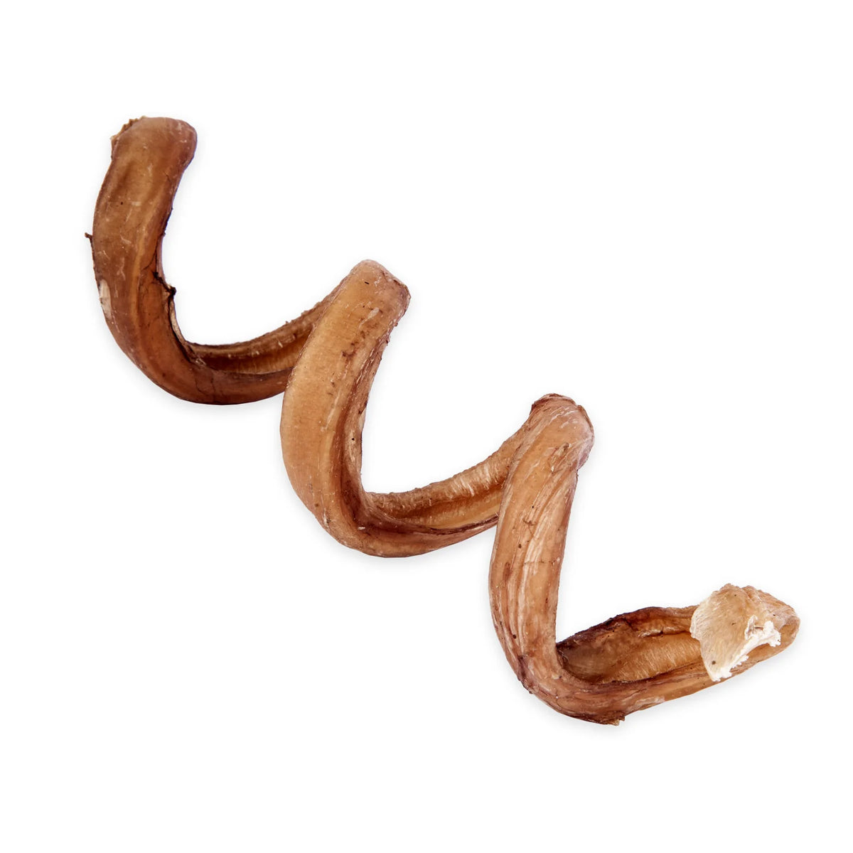 Raw Dog 6"-8" Bully Spring Dog Treat