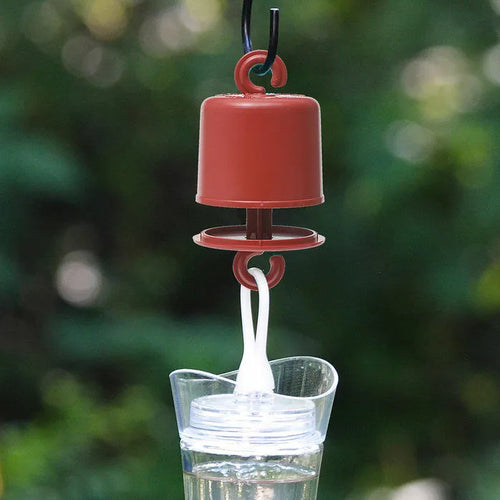 Perky Pet Ant Guard for Hummingbird Feeders