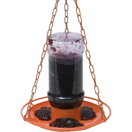 32 oz Deluxe Jelly Oriole Feeder