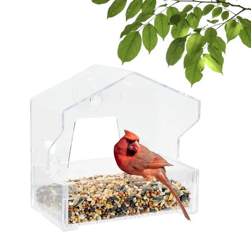Perky Pet Clear Window Wild Bird Feeder