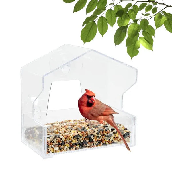 Perky Pet Clear Window Wild Bird Feeder