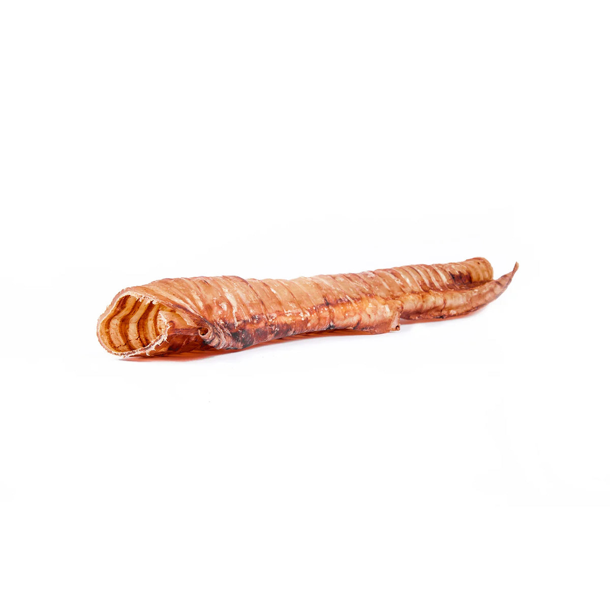 Raw Dog 6" Beef Trachea Chews Dog Treats - 10 Count