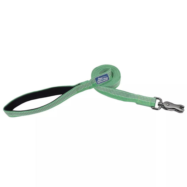 Coastal Pet K9 Explorer Brights Reflective Green Dog Leash