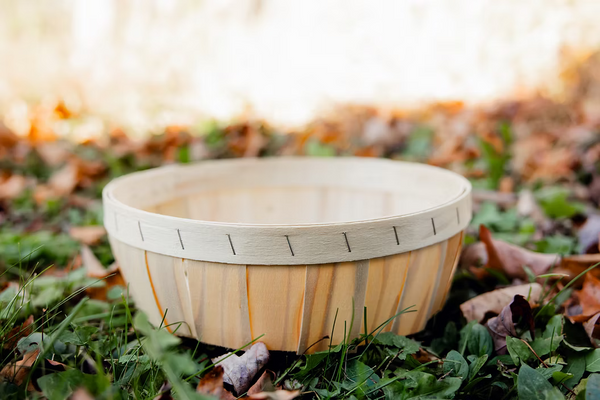 7" Round Tray Basket - No Handles [Local Pickup Only!]