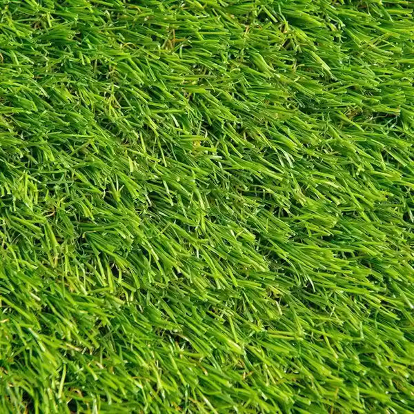 25 Lbs. All Around Lawn Grass Seed Mix