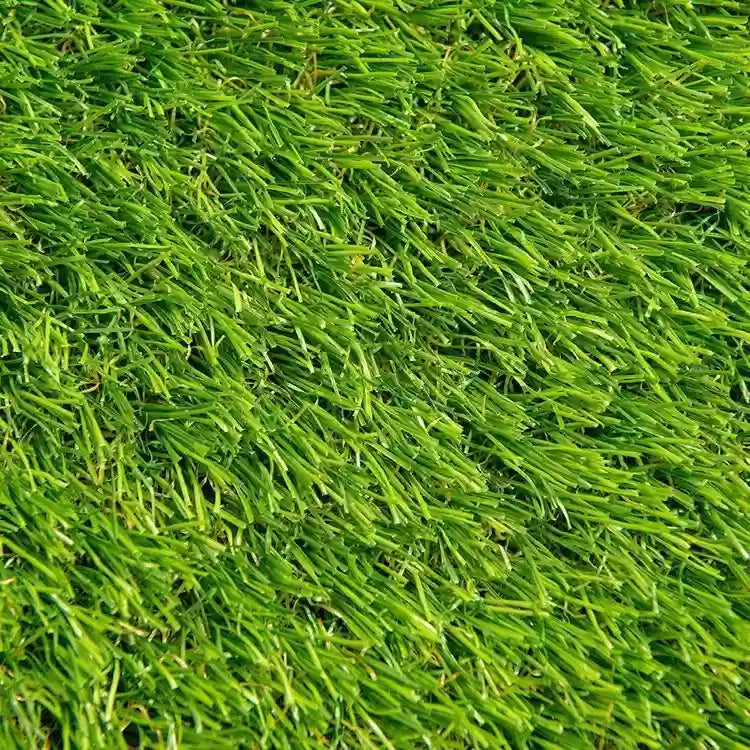 25 Lbs. All Around Lawn Grass Seed Mix