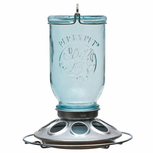 Perky Pet Mason Jar Glass Bird Feeder