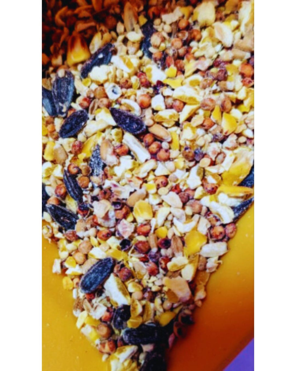 IDEAL All Around Wild Bird Seed