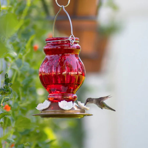 25oz Nature's Way Ruby Visions Antique Glass Hummingbird Feeder