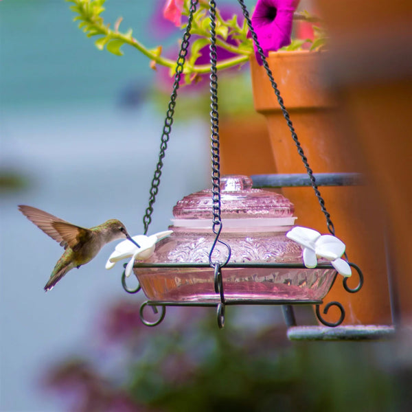 14oz Nature's Way Plum Antique Glass Top-Fill Hummingbird Feeder