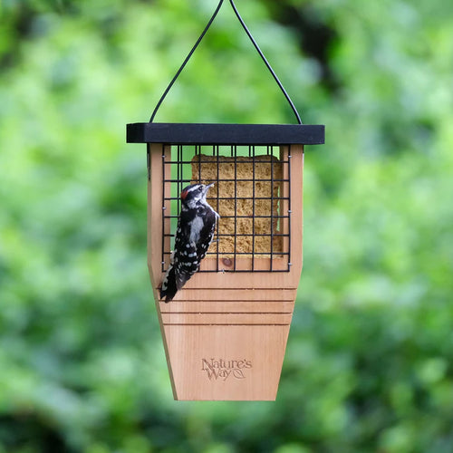 Nature's Way Cedar Tail Prop Suet Feeder - Holds 1 Cake