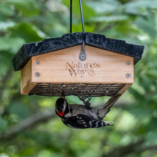 Nature's Way Upside-Down Suet Feeder