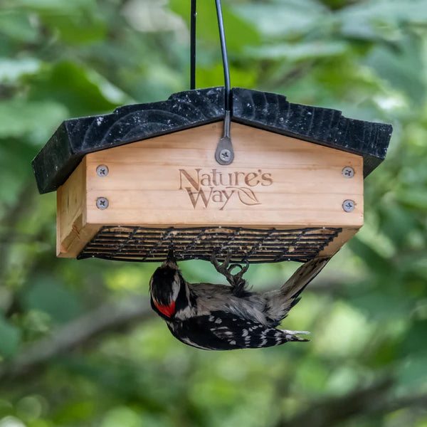 Nature's Way Upside-Down Suet Feeder