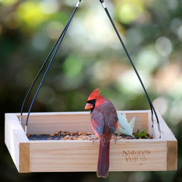 Nature's Way Cedar Tray Bird Feeder