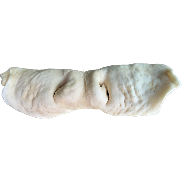 Raw Dog Cow Snout Dog Treat