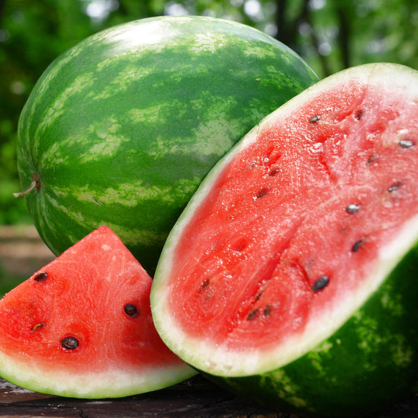 Crimson Sweet Watermelon Garden Seeds