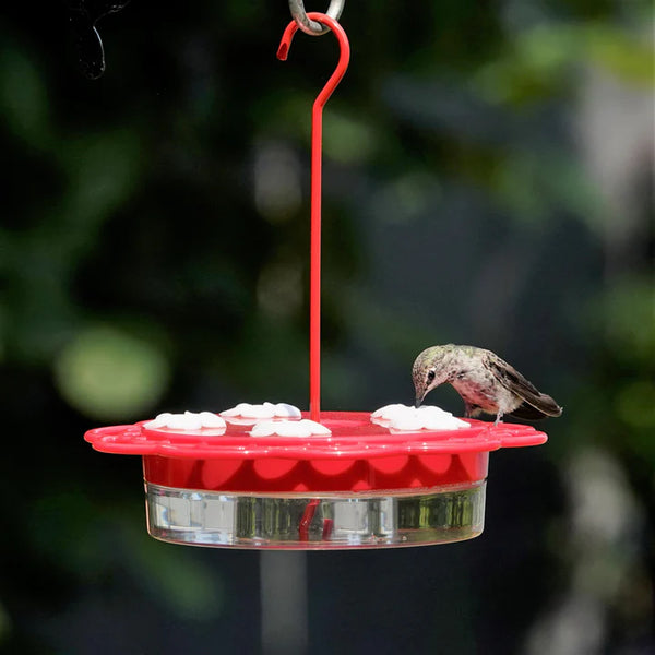 13oz Nature's Way 2-in-1 Plastic Dish & Window Hummingbird Feeder
