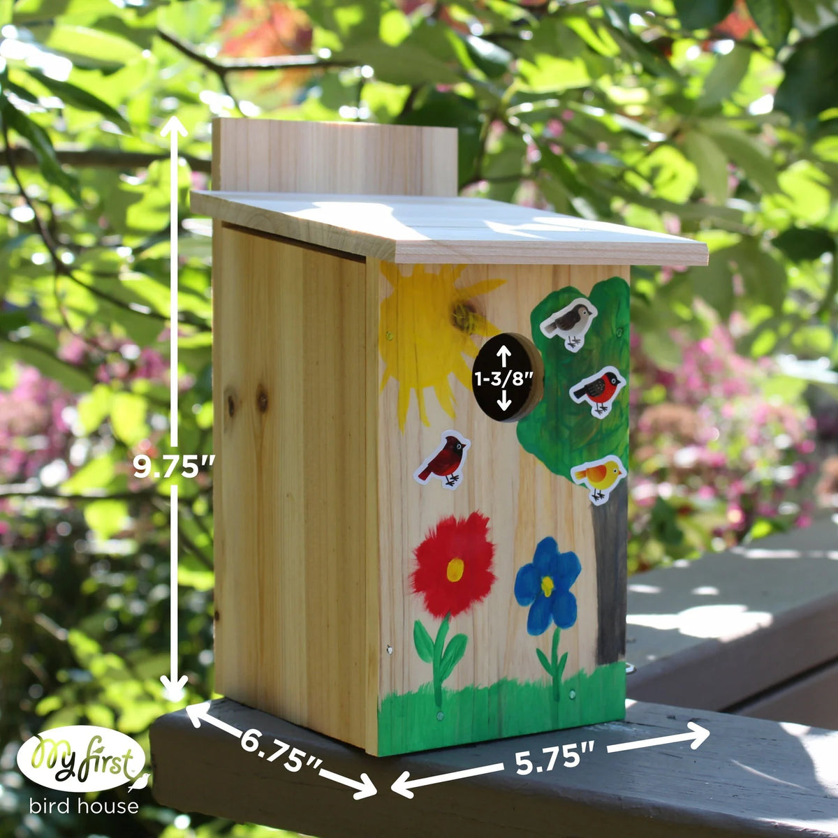 Nature's Way My First DIY Cedar Bird House w/ Viewing Window