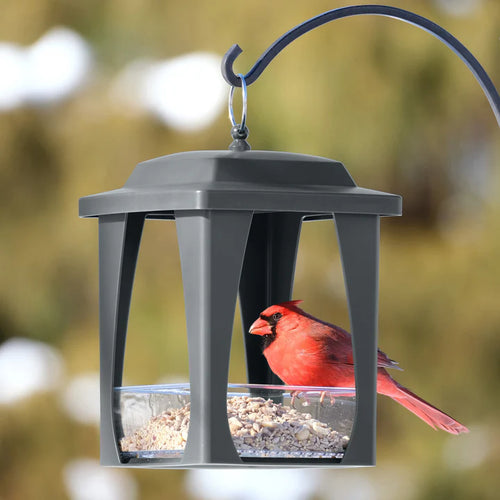 Nature's Way Dine-in-Hanging Plastic Fly Through Bird Feeder - Gray