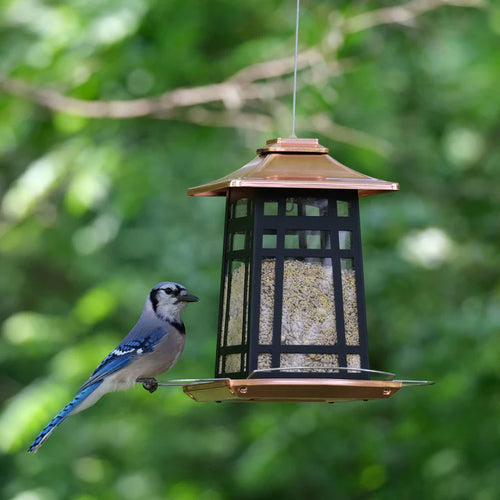 3.3 Qt. Nature's Way Copper Arches Metal Gazebo Bird Feeder