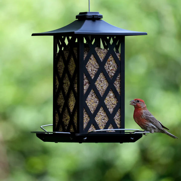 1.5 Qt. Contemporary Lantern Metal Gazebo Bird Feeder