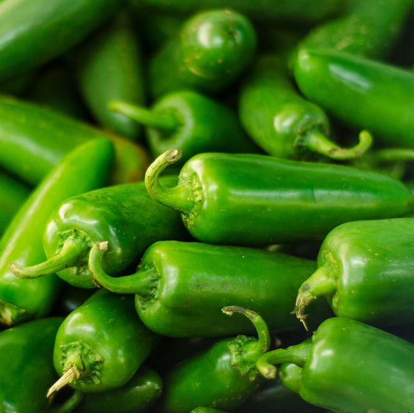 1 Gram - Jalapeno Pepper Garden Seeds