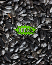 IDEAL Premium Black Oil Sunflower Seeds Wild Bird Seed