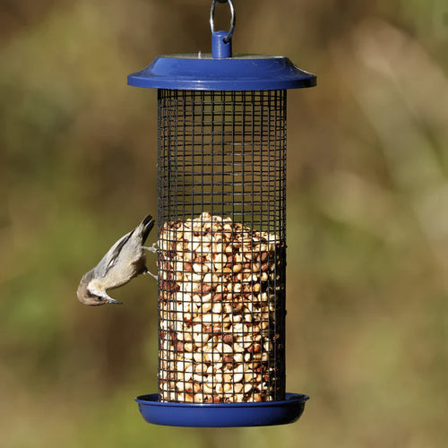 2 Qt. Nature's Way Cobalt Metal Mesh Mixed Seed & Peanut Bird Feeder