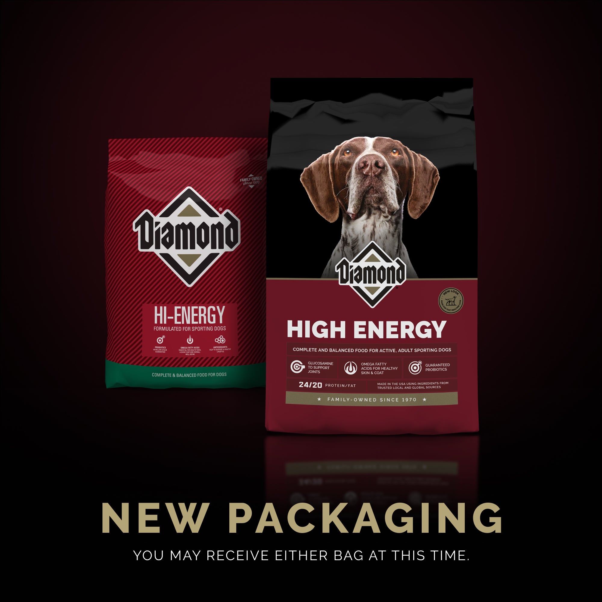 +fromm +dog +food +online Fromm Gold Puppy Dry Dog Food 33 lbs