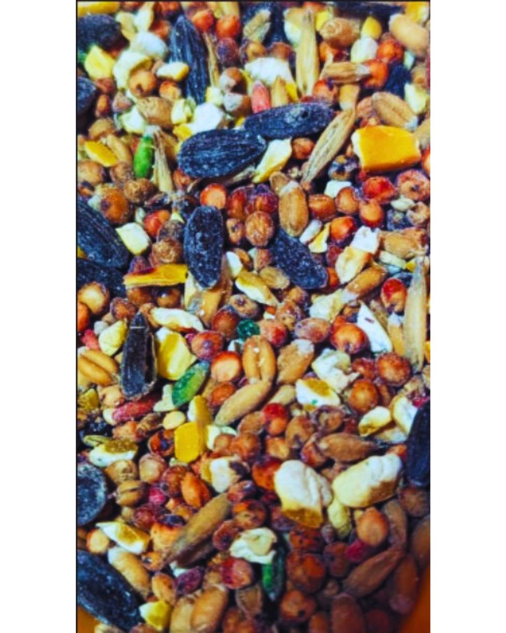 IDEAL Oat-licious (No Millet) Wild Bird Seed