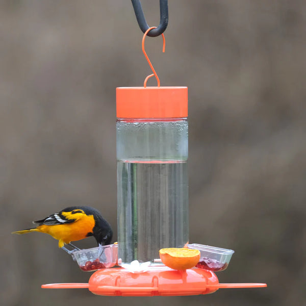 30oz Nature's Way Orange Blossom Glass Oriole Feeder w/ Jelly Attatchments