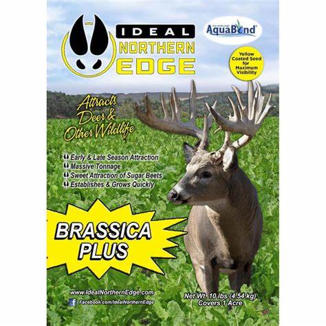 IDEAL Northern Edge Brassica Plus Deer & Wildlife Attractant