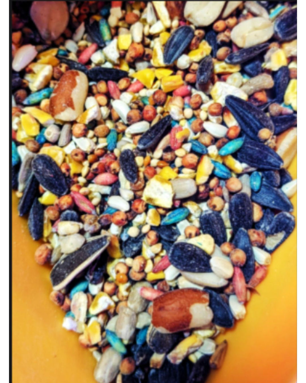 40 Lbs. IDEAL Patriot Wild Bird Seed