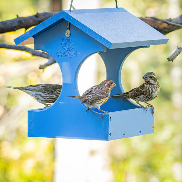 0.85 Qt. Nature's Way EcoCycle Dine-n-Dash Bird Feeder