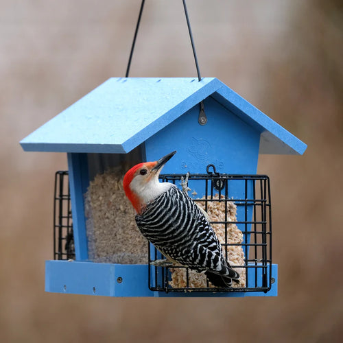 3 Qt. Nature's Way EcoCycle Hopper Hangout Bird Feeder w/ Suet