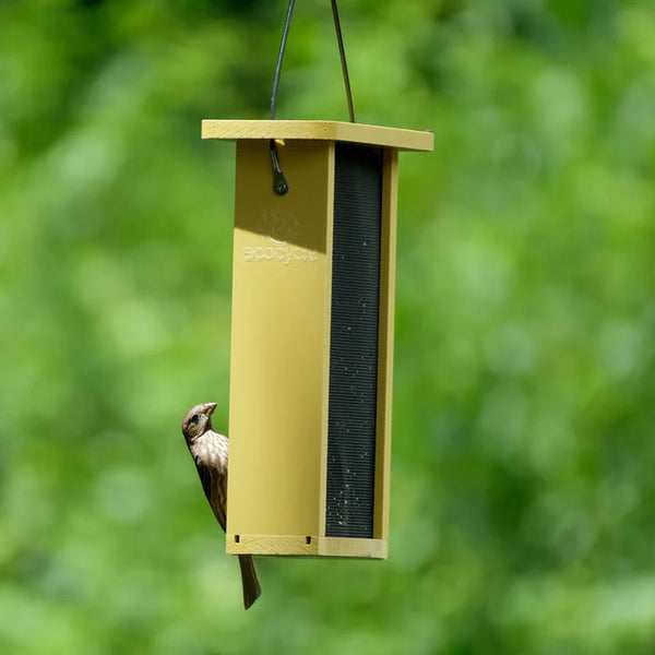 1.375 Qt. Nature's Way EcoCycle Finch Fare Thistle Mesh Bird Feeder